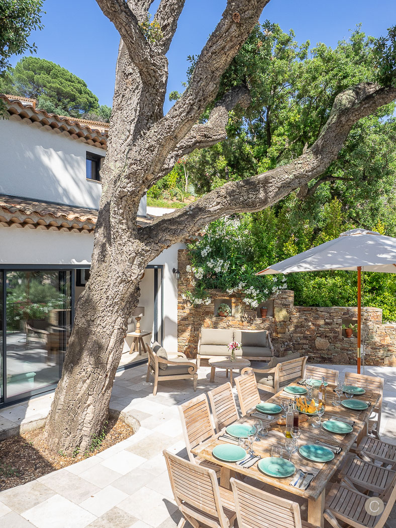 Table de jardin sous l'arbre